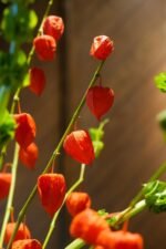 Bright Blooms - Image 3