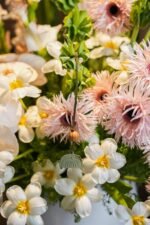 Celebrate! - Image 4