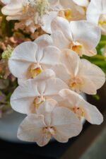 Celebrate! - Image 2