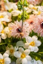 Celebrate! - Image 7