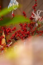 Cherry Bloom🪔 - Image 6