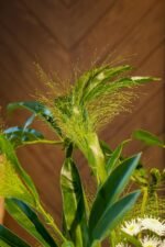 Customized leather bag gift - Image 2