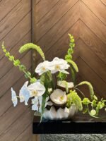 Signature Coco 🥥 - Image 3