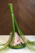 The Flower Nest - Image 3