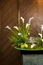 The Pearl Collection