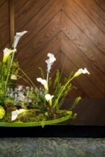 The Pearl Collection - Image 2