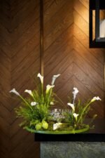 The Pearl Collection - Image 5