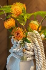 The Rope Collection - Image 4