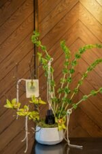 The Rope Collection x Culti