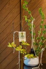 The Rope Collection x Culti - Image 4