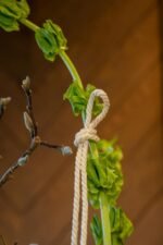 The Rope Collection x Culti - Image 3