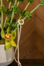 The Rope Collection x Culti - Image 2