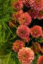 The Winter Edition - Image 7