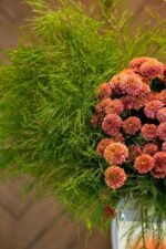 The Winter Edition - Image 6