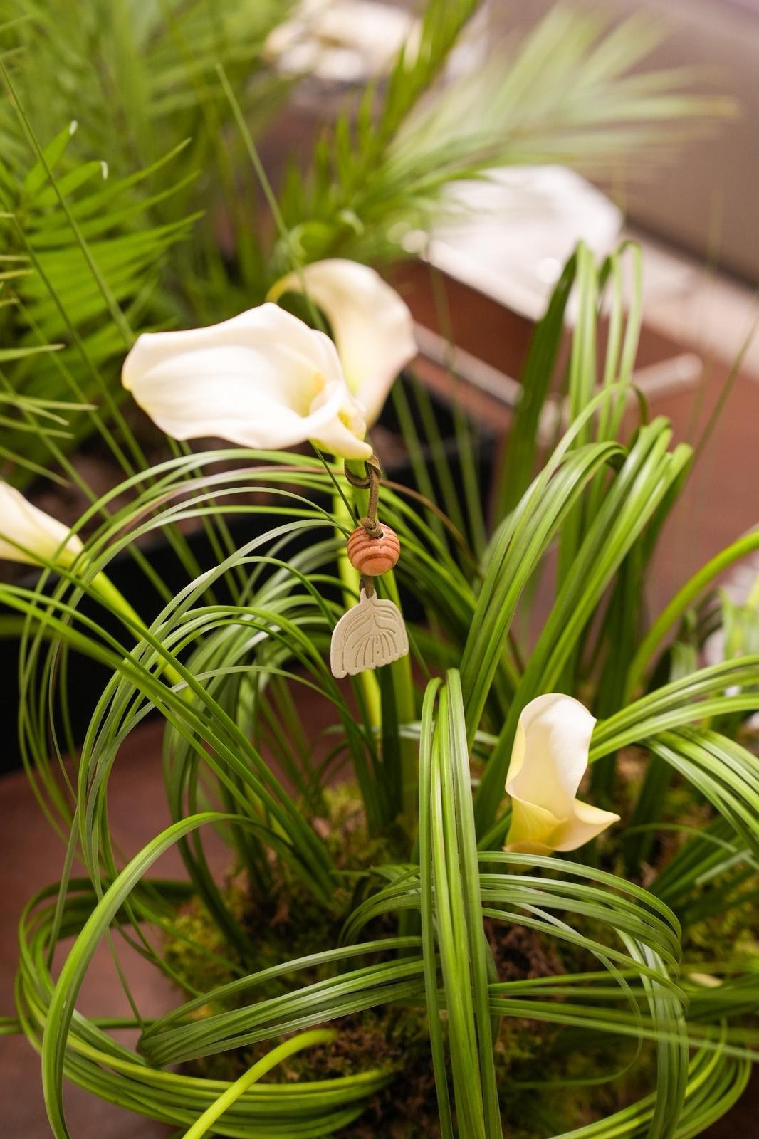 Flower Reference 1