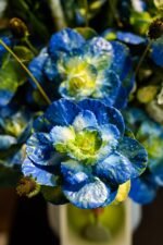 Blue sky - Image 3